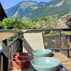 Appartement Studio Renove Et Lumineux, Châtel